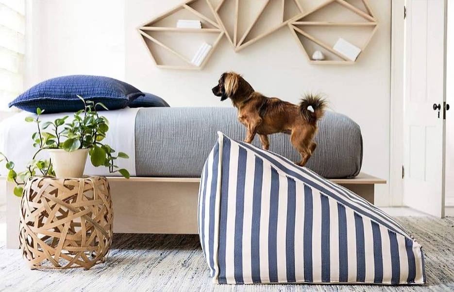 Pet-Friendly Decor
